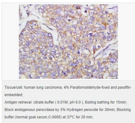 60583d2bd1b4f.png image.png