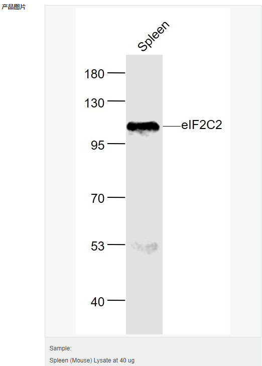 60657293c0014.png image.png